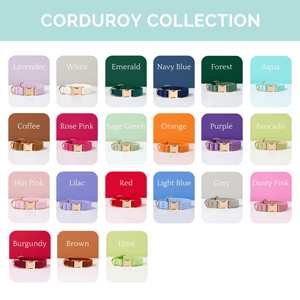 Ensemble collier et nœud papillon pour chat en velours fait main, personnalisé, avec motif uni, étiquette clochette fantaisie pour chaton et laisse cadeau d'anniversaire - Product Image 5