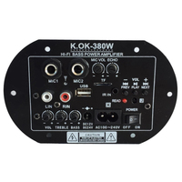 Carte amplificateur numérique KOK-380 AC 220V 12V 24V, caisson de basses, double microphone, karaoké, voiture, maison, amplificateur AMP
