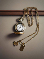 Montre de poche vintage en bronze à quartz PRO24