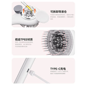 Bai chang PM139 Tragbares multifunktion ales ätherisches Öl Zerstäubung Elektrische Vibration Rot LED Intelligenter <span class=keywords><strong>Massage</strong></span> kamm - Product Image 4