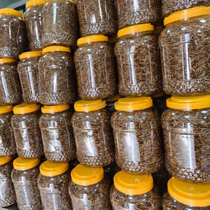 Lombrichi secchi naturali 150g cibo per uccelli passeri Robins uccelli azzurri - Product Image 6