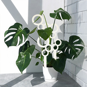 In stock European style indoor balcony wooden honeycomb mesh <b>plant</b> climbing <b>frame</b> with openwork design, potted <b>plant</b> support - Product Image 4