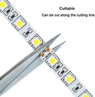 Bande lumineuse LED ESANN Smd5050 en cuivre résistant à la chaleur, LED monocolores blanches, DC 12V USB 5M flexible IP20