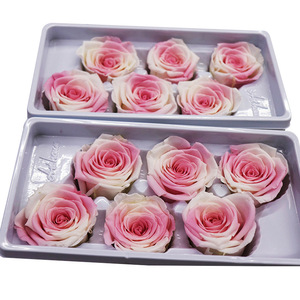 Y rosa oem promocional madre preserv rosa de alta calidad arco iris y cabezas rosa - Product Image 4