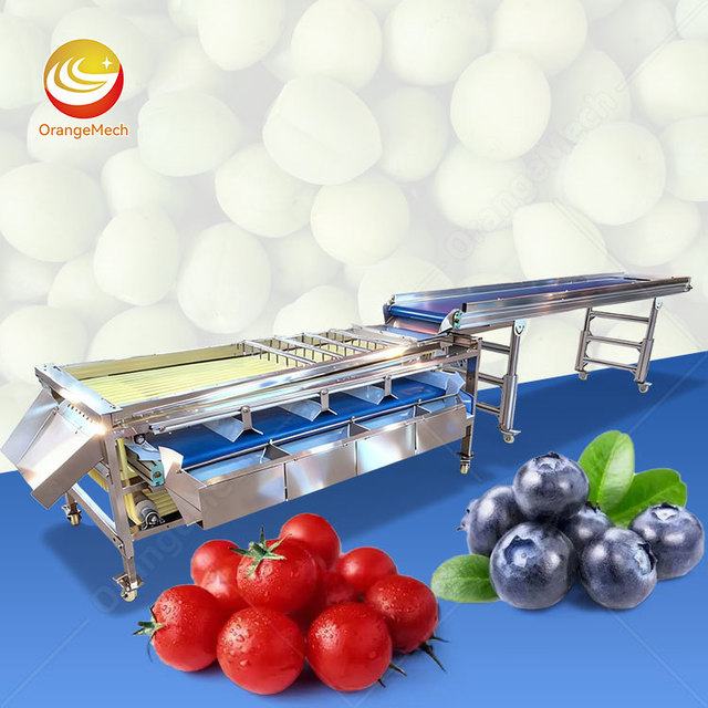 ORME Automatic Potato Red Date Mango Sorter Blueberry Garlic Onion Size Sort and Grade Machine
