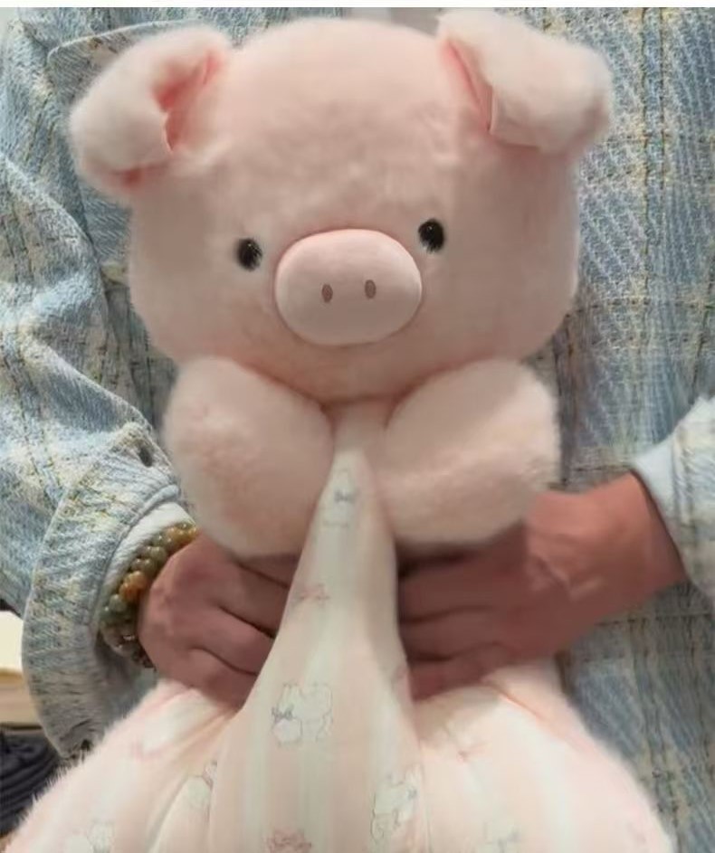 Oreiller moelleux cochon