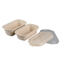 Emballage alimentaire jetable portable 24oz 32oz 1000ml 10" Boîte rectangulaire en papier biodégradable en canne à sucre Contenant pour nouilles et pique-nique