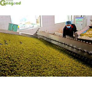 Genyond Raisin Clean Destemmer Destone gravità <span class=keywords><strong>separatore</strong></span> produzione linea di lavaggio - Product Image 6