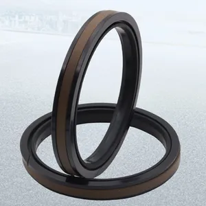 China Leverancier Hoge Druk Hydraulische Cilinder Zuiger Afdichting Nbr Ptfe Spg Spgw Seal Piston Seal Ring