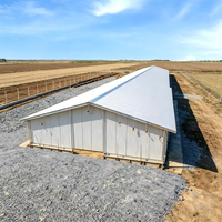Bâtiment d'élevage avicole moderne à grande portée en structure acier préfabriquée, ignifuge et étanche, pour l'élevage commercial de volailles