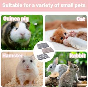 Manufacturer Wholesale Multi-design Soft Plush Dog <b>Blanket</b> - Product Image 5