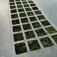Plantes Escalade Bâton Plante Support Treillis Cadre Eau Sphaigne Mousse Colonne Pôle pour Vignes De Fleurs En Pot
