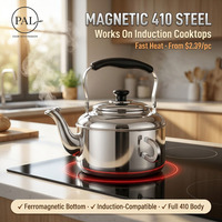 Bouilloire moderne en acier inoxydable 410, 3/10 litres, base magnétique, compatible avec les plaques à induction, écologique, légère