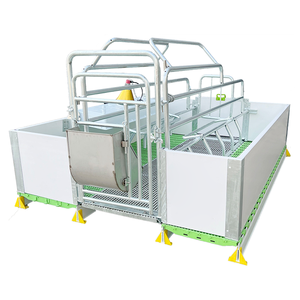 Nueva Cama de Gestación Integrada de Doble Posición para Cerdas, de Acero Galvanizado, para Granjas Porcinas, Jaulas de Parto, Garantía de 2 Años, 500 kg - Product Image 6