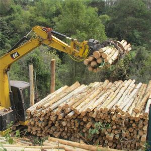 Attaches de pelle hydraulique à grappin, ventes chaudes 2025 - Product Image 1