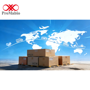 Anticorps monoclonal de souris à l'antigène CD31 (PECAM-1) Promabio Modèle 20131 pour application IHC/IF - Réactifs chimiques de stockage à -20°C - Product Image 6