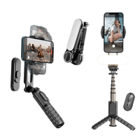 Stabilisateur de téléphone portable Q09 à poignée unique avec lumière d'appoint LED détachable, perche à selfie et télécommande sans fil pour Vlog et diffusion en direct