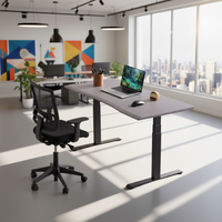 Bureau debout électrique ergonomique de haute qualité, réglable en hauteur, avec contrôleur de mémoire