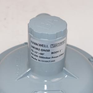 هانكويل 1083B2Pressure شفة استبدال AMCO 1083b2 dn50 - Product Image 4