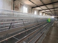6000 Nouvelles cages à poulets personnalisables galvanisées à chaud à 3 niveaux, haute résistance à la corrosion, longue durée de vie, système de cages superposées pour poulailler
