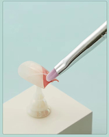 Juego de Pinceles para Uñas Multifuncionales con Soporte OEM, Mango de Plástico de Nailon de Colores, Aplicación Suave, Herramientas para Delineado de Gel Francés