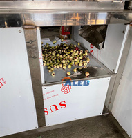 Noyau enlevant la machine de séparation Machine de dénoyautage de graines d'abricot Amla