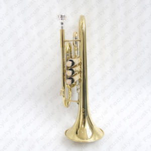 FCT-250高品质Bb短号高端黄色黄铜铅管性能仪器短号带盒价格优惠 - Product Image 2