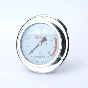 Manómetro Longqi Automation YN100ZT 16/25/40 Mpa Antivibración para Aire y Agua - Product Image 2
