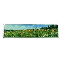 10,11-Zoll-Bar-Typ IPS-LCD-Anzeige feld für Kraftfahrzeuge mit Touchscreen-TFT-Modulen
