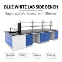 Table de travail de laboratoire performante et fiable, poste de travail de laboratoire multifonctionnel, espace de rangement optimisé pour les applications biologiques et chimiques