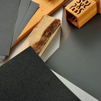 PEXMIENTAS Papier abrasif pour meubles en bois sec et humide Feuille de papier abrasif imperméable Carbure de silicone