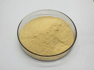 Großhandel Wettbewerbsfähiger Preis Lebensmittelqualität Aminosäure L-Lysin Pulver in Großmengen - Product Image 6