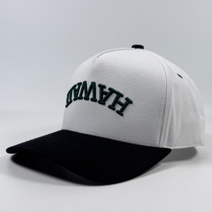 Nuevas <span class=keywords><strong>Gorras</strong></span> de Béisbol de Moda con Bordado 3D Invertido de Dos Tonos y 5 Paneles, <span class=keywords><strong>Gorras</strong></span> Deportivas Personalizadas con Nombre y Ciudad, con Cierre a Presión para Adultos - Product Image 2