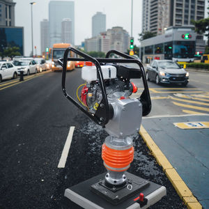 Máy đầm cóc động cơ Wacker Jumping Jack, máy đầm cóc cầm tay - Product Image 1