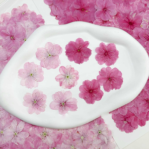 Fleur de cerisier rose séché à la main belle fleur pressée pour Nail Art signet bricolage résine coque de téléphone 1 sac 12 pièces - Product Image 1