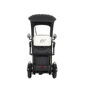 Hete Aanbieding Driewieler Elektrische <span class=keywords><strong>3</strong></span>-Wieler Elektrische Driewieler Motorfiets en <span class=keywords><strong>3</strong></span>-Wieler Elektrische Fiets Met Dak Elektrische Driewieler Te Koop - Product Image 6