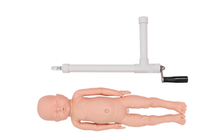 Maniquí Avanzado de Parto para Educación Médica, Simulador de Parto Portátil, Modelo de Entrenamiento - Product Image 4