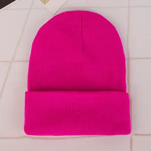 Moda özel nakış Logo katı renk sıcak kış bere örgü şapka