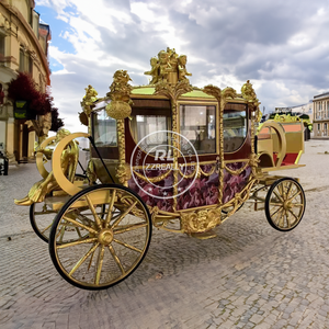 عربة حصانية للسندريلا الأميرة 2024 للبيع عربات زفاف ملكية لمشاهدة المعالم السياحية عربة حصانية كهربائية لحفلات الزفاف - Product Image 4