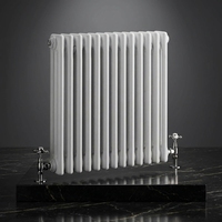 Radiateur en acier à double usage pour chauffage à l'eau et électrique, options personnalisables
