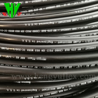 Les entreprises hydrauliques professionnelles en Chine fournissent un tuyau hydraulique SAE 100 r2at résistant au feu