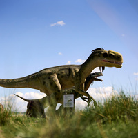Le plus grand dinosaure T-Rex animé en métal grandeur nature, personnalisable, de haute qualité, fait main, pour attirer les flux de visiteurs en centre commercial (intérieur/extérieur)