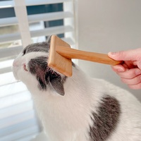 Baoli OEM vente en gros de petite brosse en bambou pour animaux de compagnie toilettage poils de chien épingles dures peigne en bambou pour animaux de compagnie brosse lisse poignée brosse pour animaux de compagnie