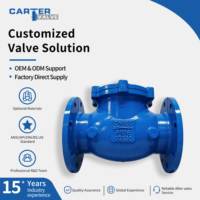 Clapet anti-retour oscillant OEM en fonte ductile GGG50 et acier au carbone, à bride, à passage plein, pour eau, vapeur, huile, anti-coup de mouche, DIN 3356 DIN 2543