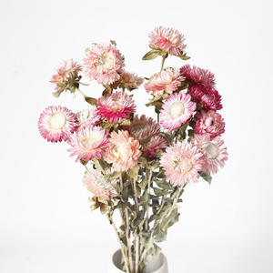 Ramo de Flores Secas Naturales para Boda, 20 Flores Secas Conservadas para <span class=keywords><strong>Funeral</strong></span> Memorial, Suministros Funerarios de Calidad Premium - Product Image 2