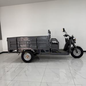 Vélo électrique à 3 roues, tricycle électrique pour adultes, tricycle pour passagers de camping-car avec homologation EEC - Product Image 1