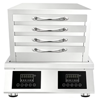 Équipement et machines électriques commerciaux 8000W 50*40cm Cuiseur vapeur en acier inoxydable pour nouilles de riz et rouleaux de riz cantonais