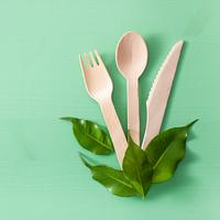 Couverts en bois jetables fournisseur couteau personnalisé pas cher prix de gros écologique réutilisable biodégradable cuillère fourchette