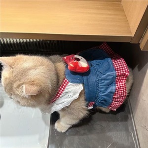 Robe de princesse pour chien, petite taille, pour Teddy, Bichon Frisé, Yorkshire Terrier, jupe respirante de printemps avec porte-chiot intégré - Product Image 3