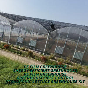 Op maat gemaakte grote commerciële tomatenkas, enkellaags, multi-span, uitgerust met corrosiebestendige, slimme landbouwtechnologie - Product Image 4